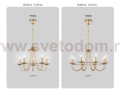 Подвесная люстра со сменной лампой Ambrella TR9615 TR