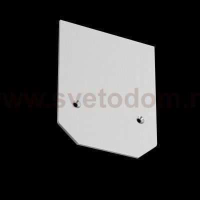 Аксессуар для трекового светильника Maytoni TRA004MPEC-21S -