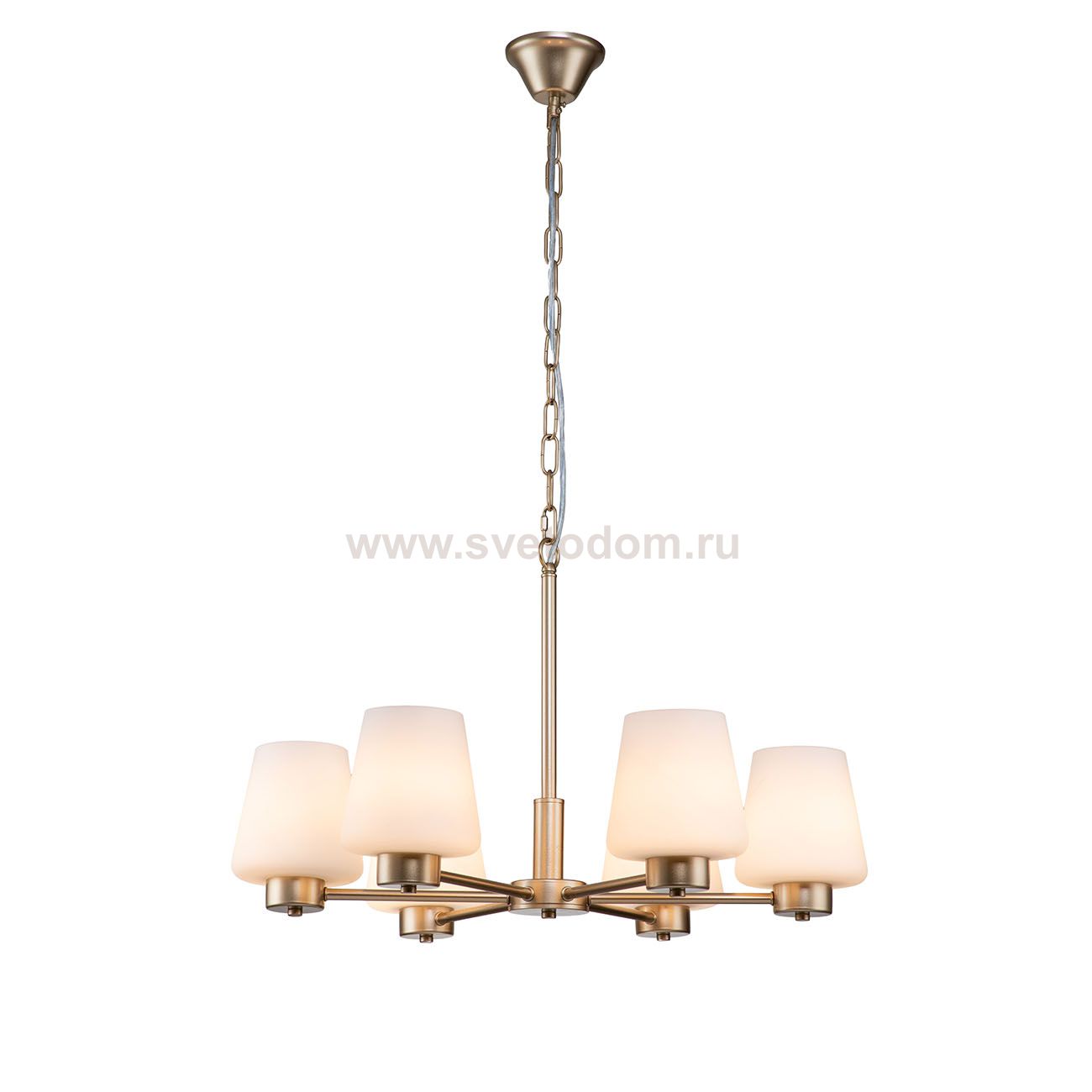 Подвесной светильник Indigo 13004/6P Gold TULIP