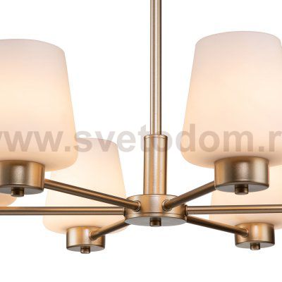 Подвесной светильник Indigo 13004/6P Gold TULIP