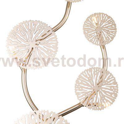 Настенный светильник Indigo 12016/5W Gold SOLE