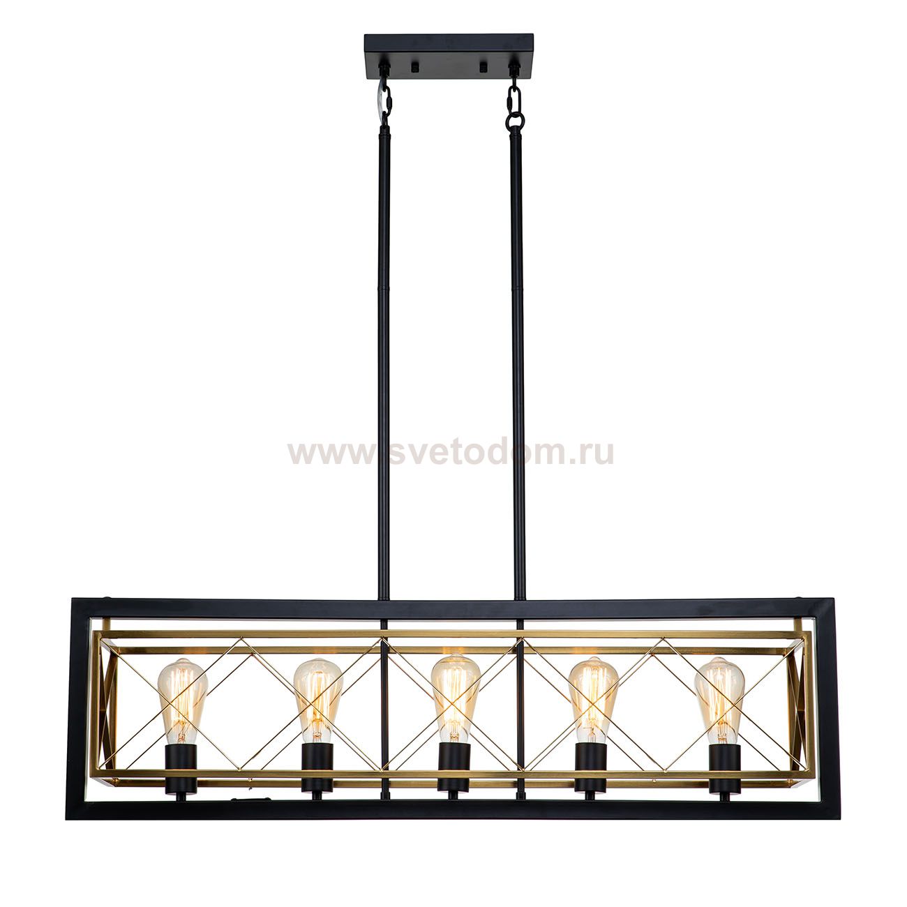 Светильник на штанге Indigo 10003/5R Black ERA