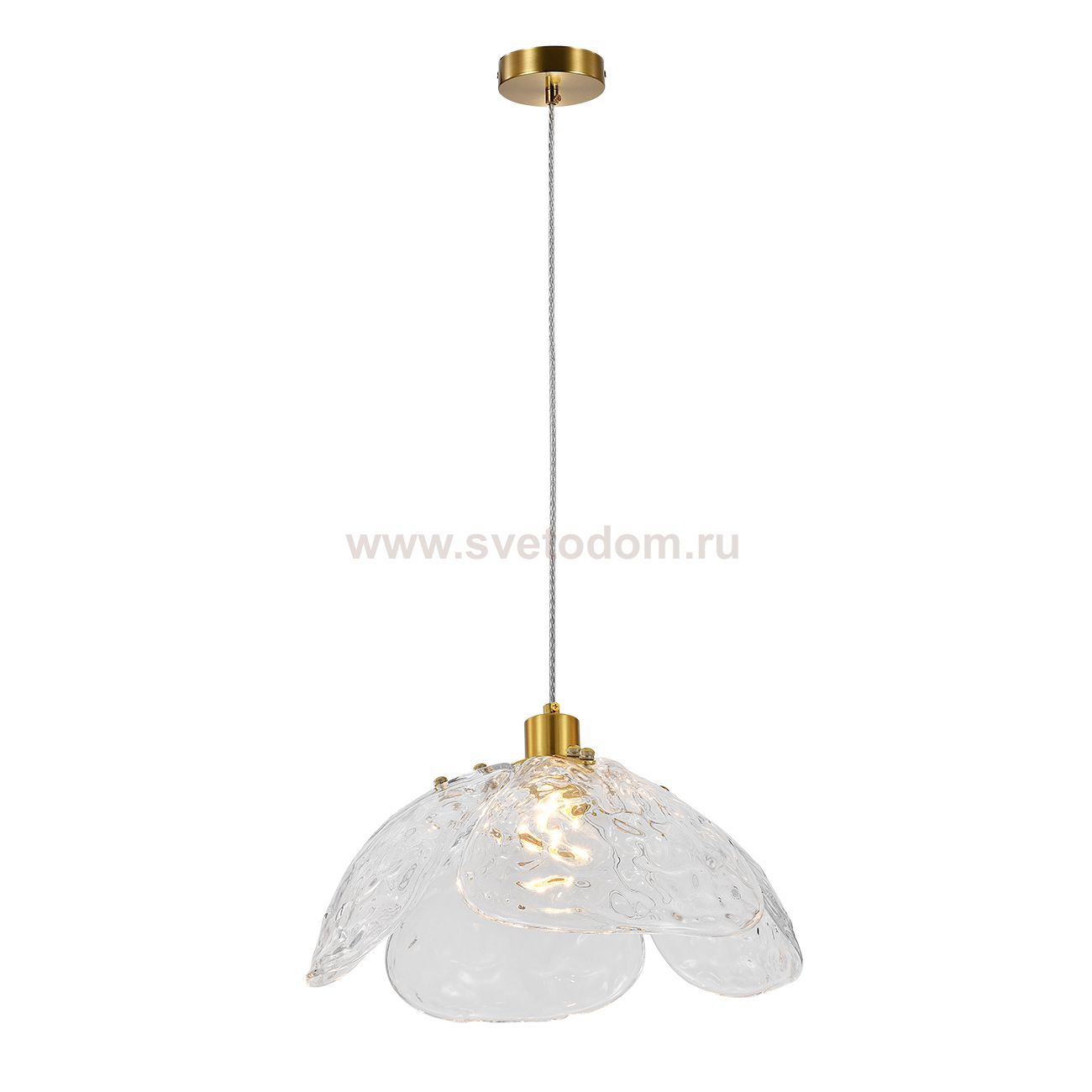 Подвесной светильник 11051/1P Clear