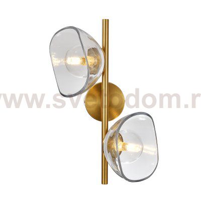 Подвесной светильник 11051/2W Clear
