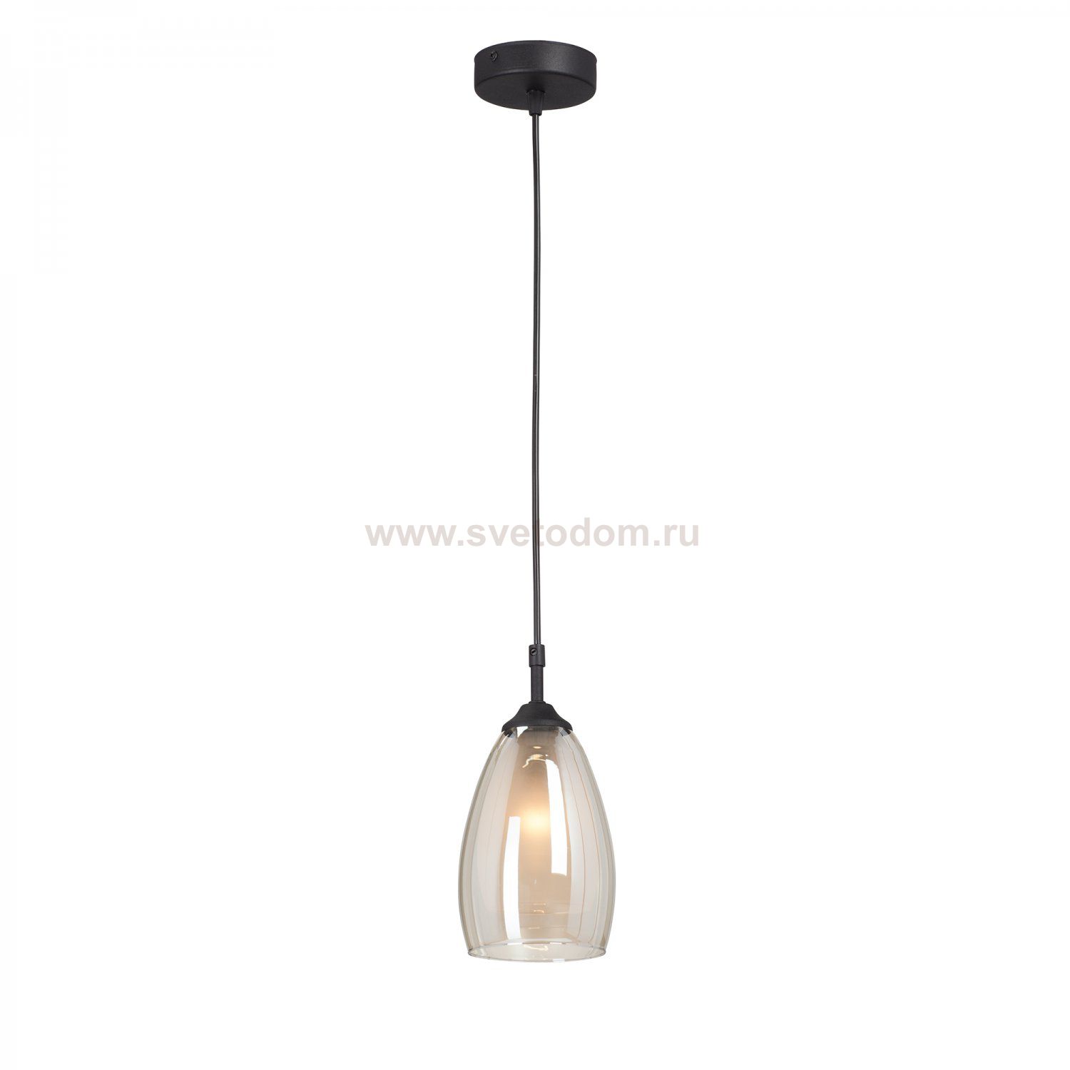 Люстра Vitaluce V2962-1/1S