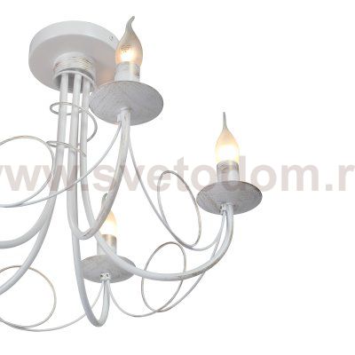 Vitaluce V3035-0/5PL