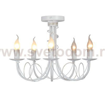 Vitaluce V3035-0/5PL