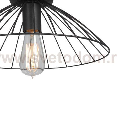 Vitaluce V3036-1/1PL