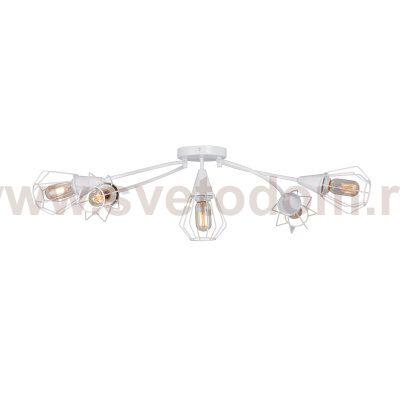 Vitaluce V3037-0/5PL