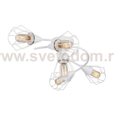 Vitaluce V3037-0/5PL