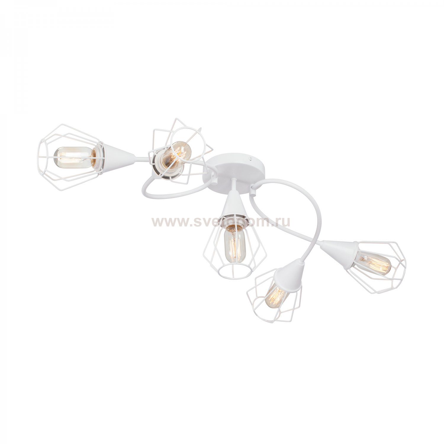 Vitaluce V3037-0/5PL