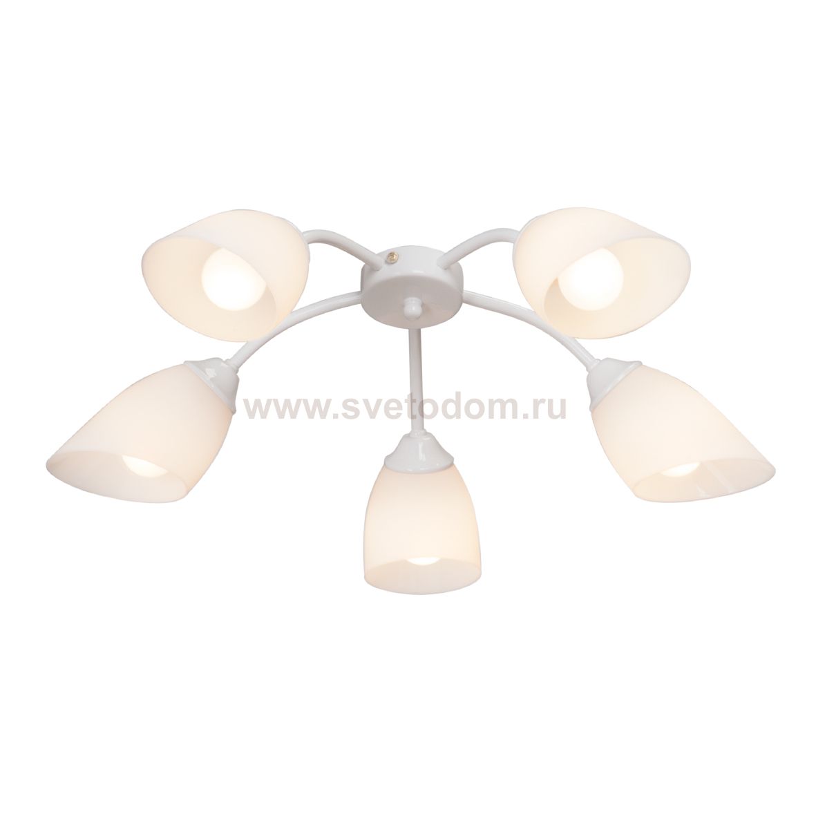 Люстра потолочная Vitaluce V3194/5PL