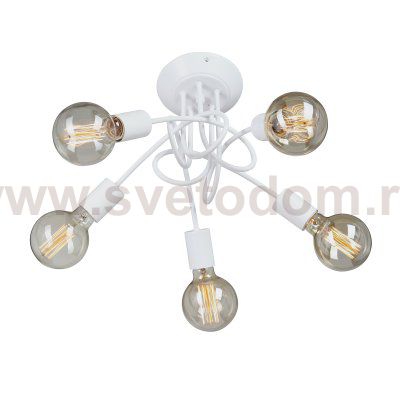 Vitaluce V3727-0/5PL