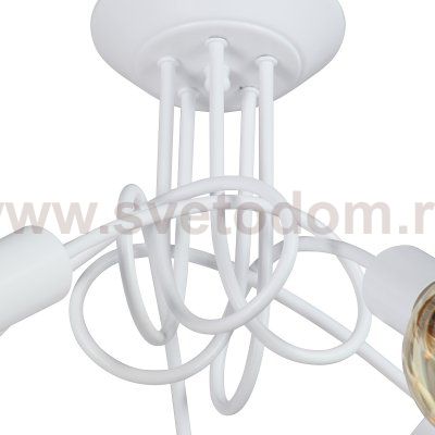 Vitaluce V3727-0/5PL