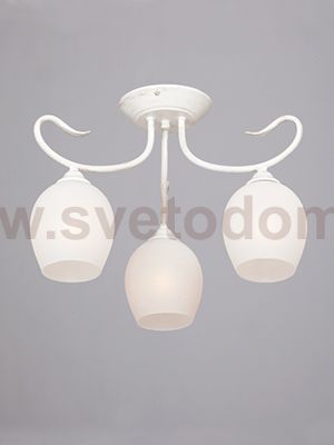 Vitaluce V3741-0/3PL