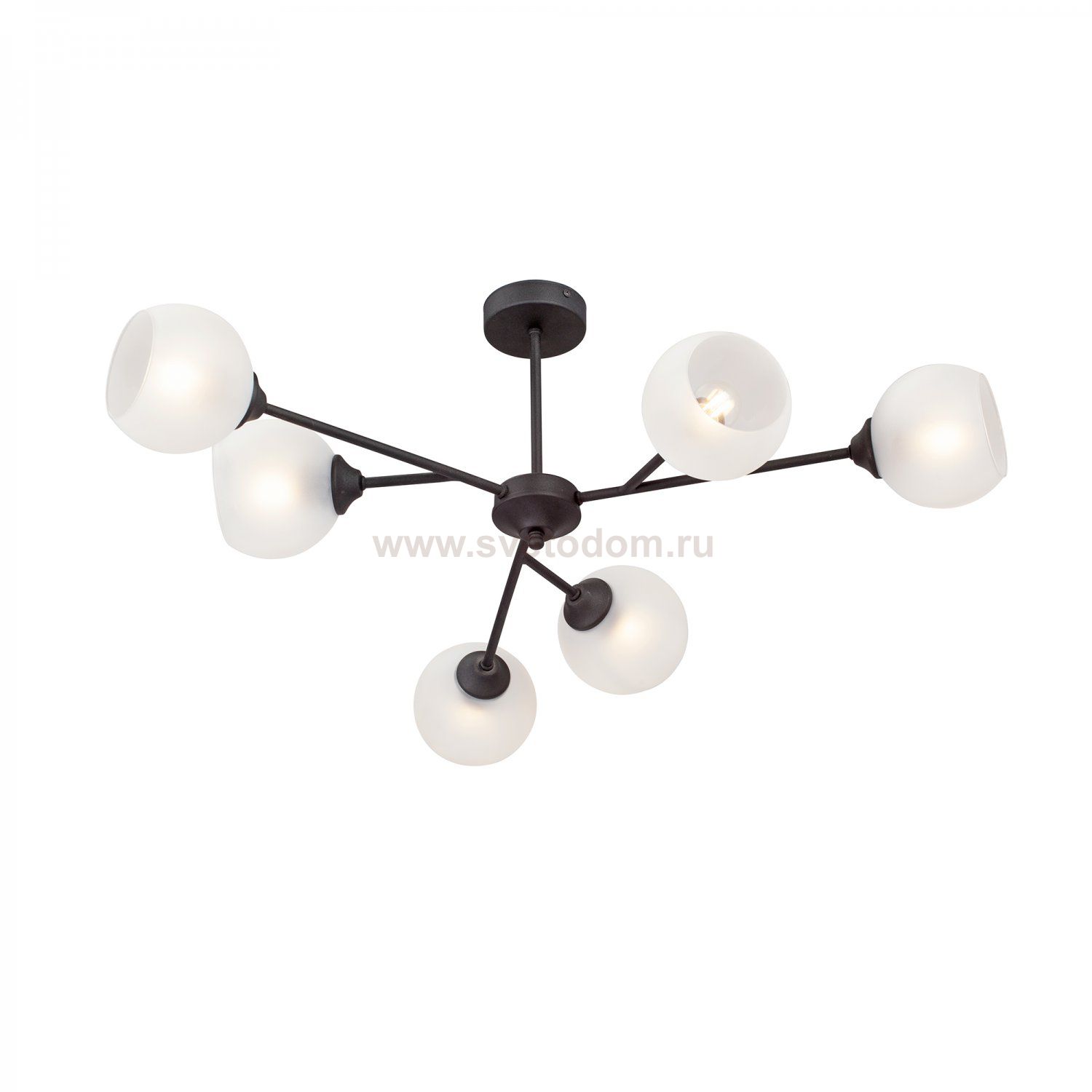 Vitaluce V3791-1/6PL