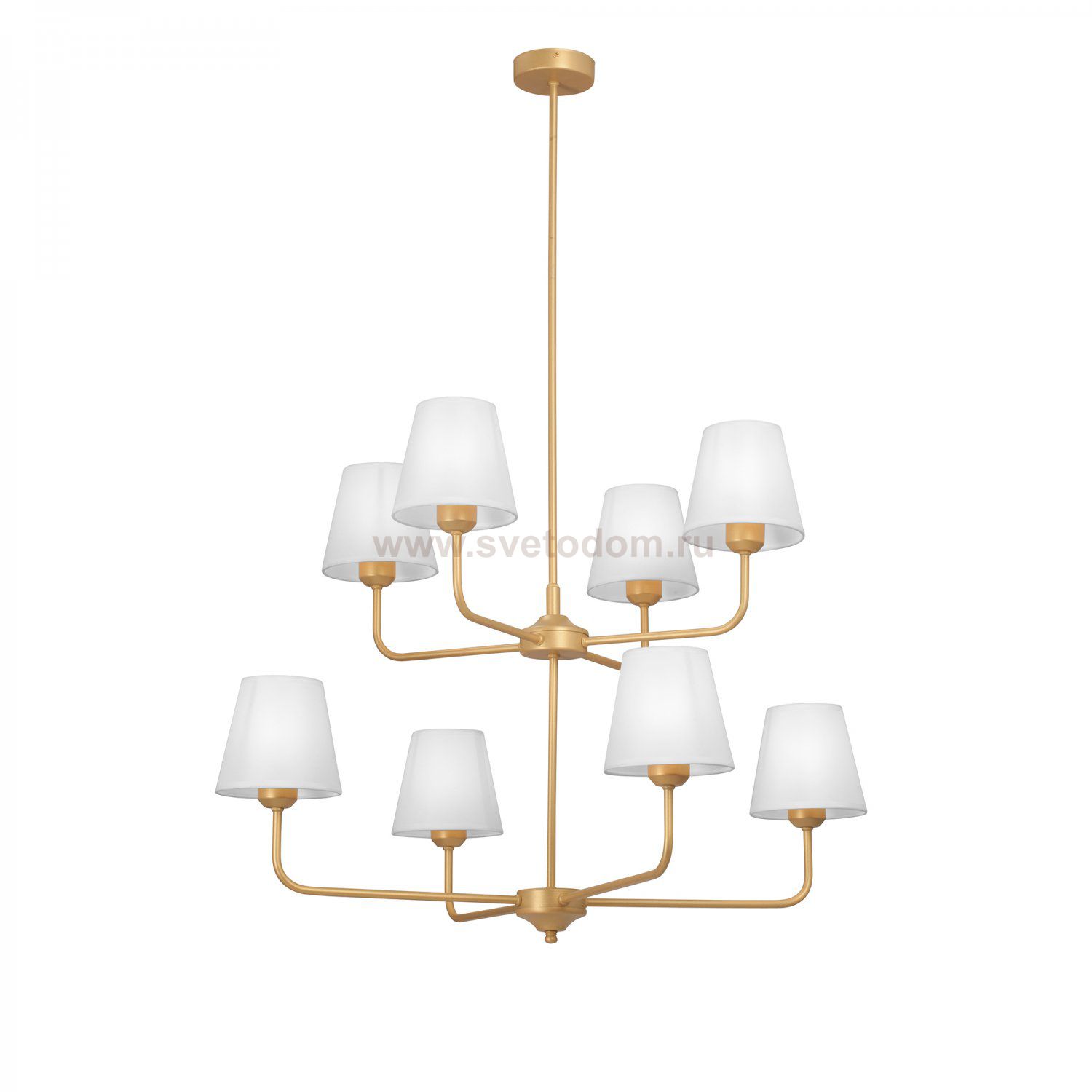 Vitaluce V3923-8/8PL