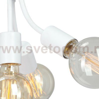 Vitaluce V3927-0/4PL