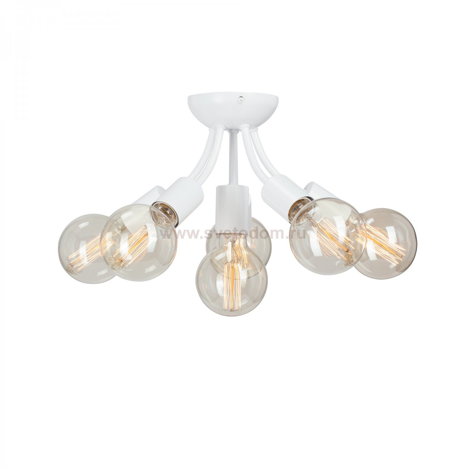 Vitaluce V3927-0/6PL