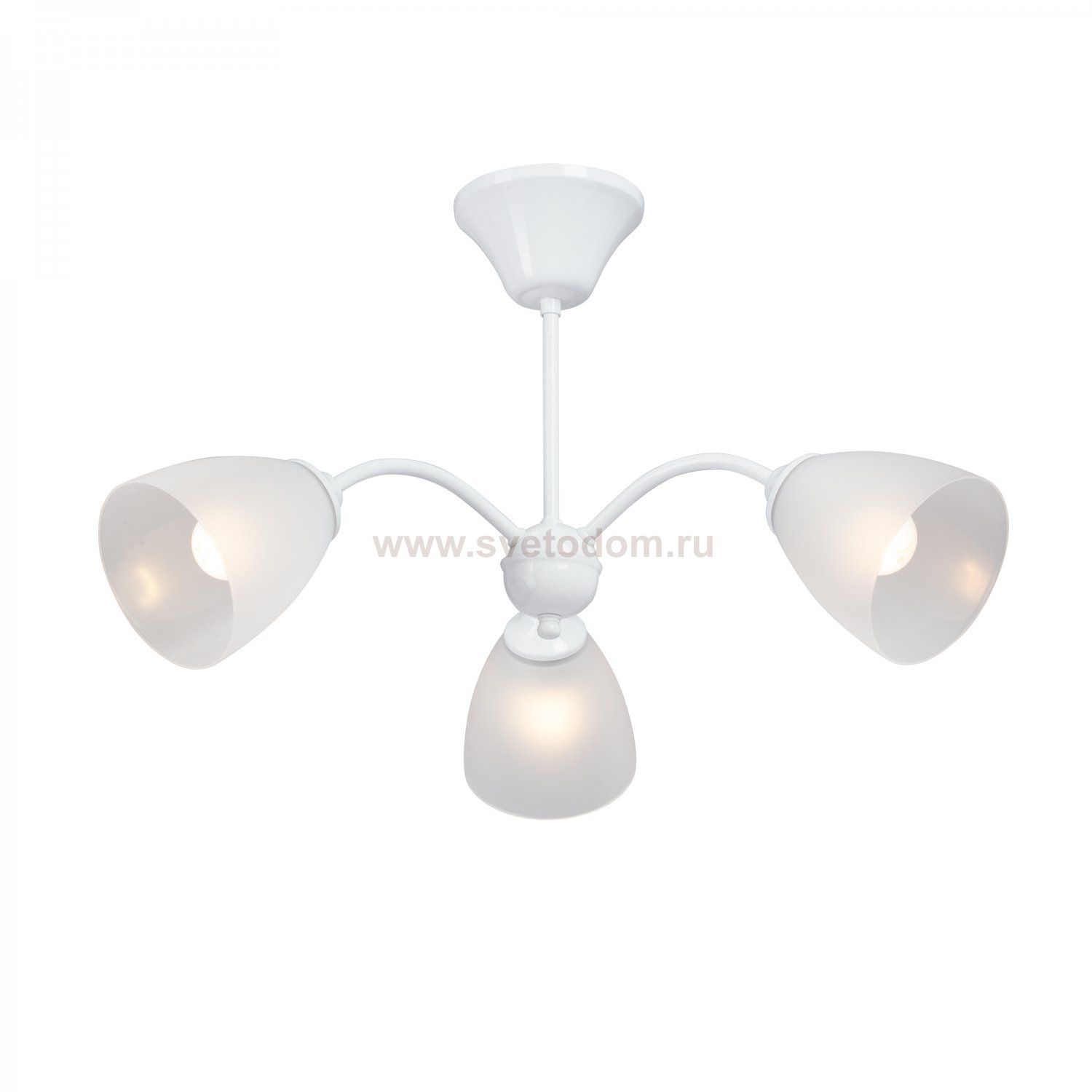 Vitaluce V3929-0/3PL