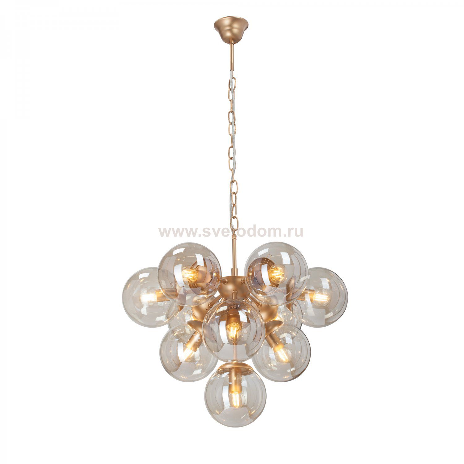 Vitaluce V49630-8/10