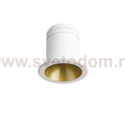 Ideal Lux VIRUS FI WH GD