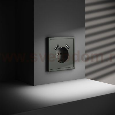 Накладка для розетки с заземлением и защитными шторками, с USB A+A, S70 (титан)