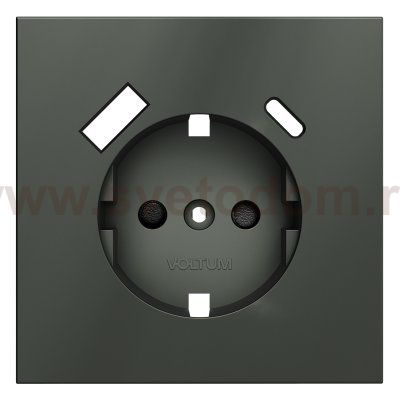 Накладка для розетки с заземлением и защитными шторками, с USB A+C, S70 (титан)