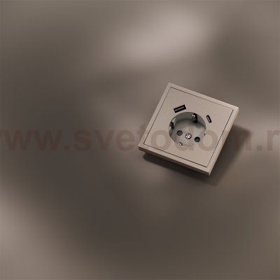 Накладка для розетки с заземлением и защитными шторками, с USB A+C, S70 Metal (платина)