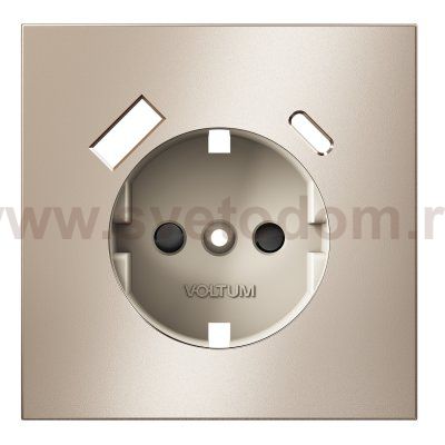 Накладка для розетки с заземлением и защитными шторками, с USB A+C, S70 Metal (платина)