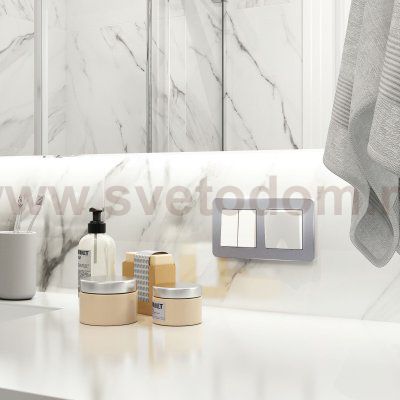 Рамка из металла на 2 поста Platinum алюминий W0022606