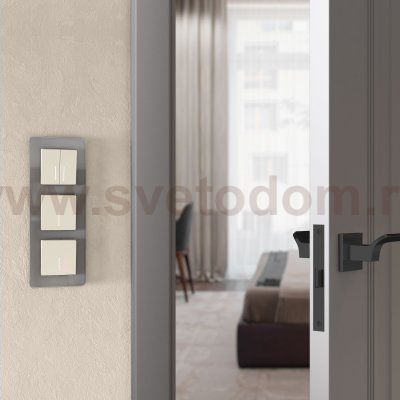 Рамка из стекла на 3 поста Elite дымчатый W0032417