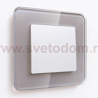 Выключатель одноклавишный (белый матовый) W1110061