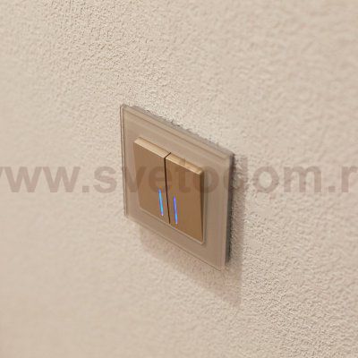 Выключатель двухклавишный с подсветкой (шампань рифленый) W1120110