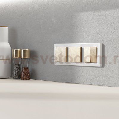 Розетка влагозащ. с зазем. с защит. крышкой и шторками N (шампань рифленый) W1171210