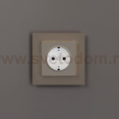 Розетка с подсветкой W (айвори матовый) W1171462