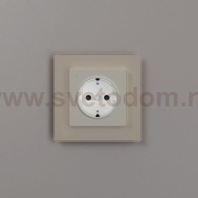 Розетка с подсветкой W (айвори матовый) W1171462