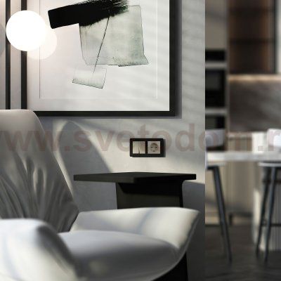 Выключатель двухклавишный (дымчатый) W1220004