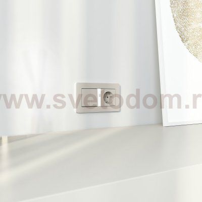 Розетка с заземлением и шторками (дымчатый) W1271104