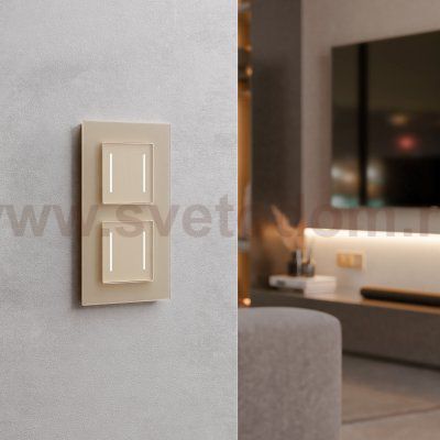 Умный сенсорный выключатель двухклавишный (шампань) W4523011