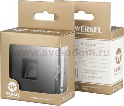 Розетка с заземлением (серебряный) Werkel WL06-SKG-01-IP20