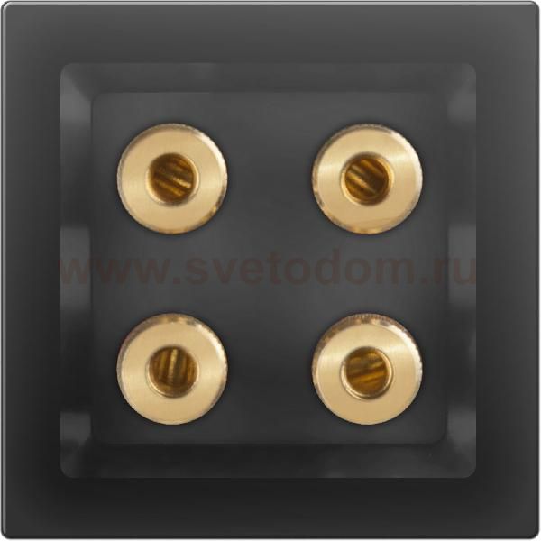 Акустическая розетка (черный матовый) Werkel WL08-AUDIOx4