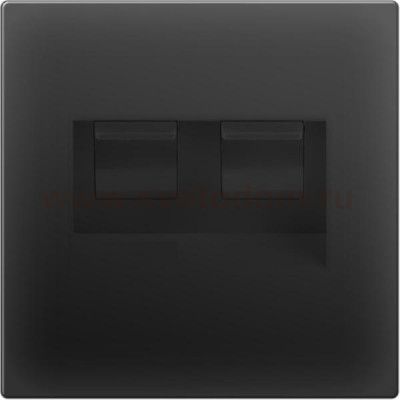 Розетка телефонная RJ-11 и Еthernet RJ-45 (черный матовый) WL08-RJ11+RJ45 Werkel