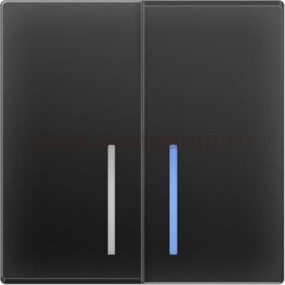 Выключатель двухклавишный с подсветкой (черный матовый) WL08-SW-2G-LED Werkel