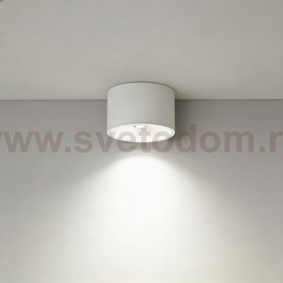 Wertmark WTA.O06.007.40.12