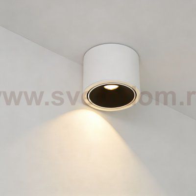 Wertmark WTA.O06.067.30.07