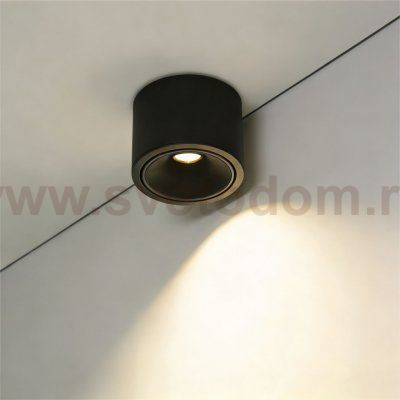 Wertmark WTA.O06.667.30.07