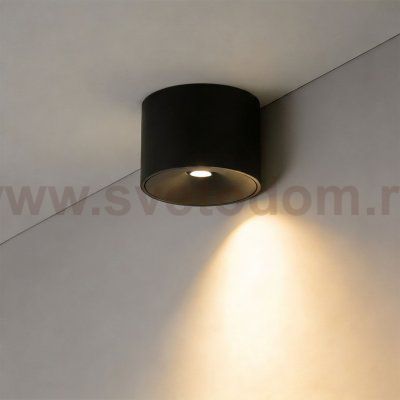 Wertmark WTA.O06.667.30.12