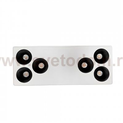 Wertmark WTB.O01.067.30.36
