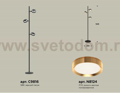 Комплект напольного поворотного светильника Ambrella XB9816152 XB